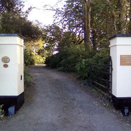 Westleigh House Farm Bed and Breakfast Bideford Exterior foto