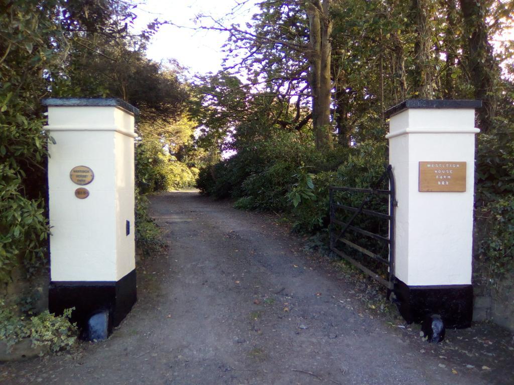 Westleigh House Farm Bed and Breakfast Bideford Exterior foto