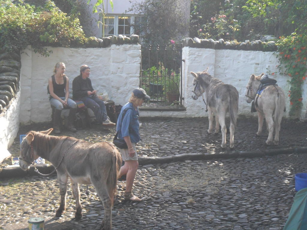 Westleigh House Farm Bed and Breakfast Bideford Exterior foto